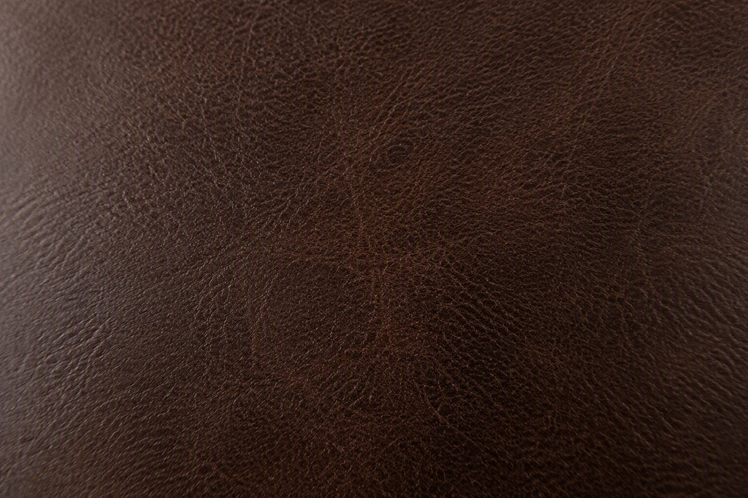 Macro texture of Leather